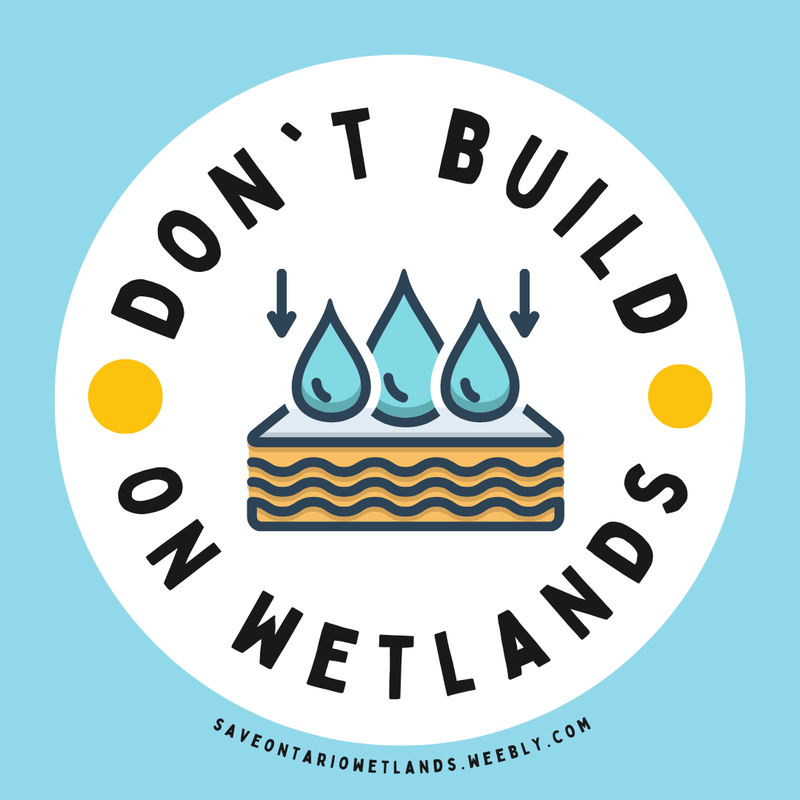 Don't build on wetlands & water filtration