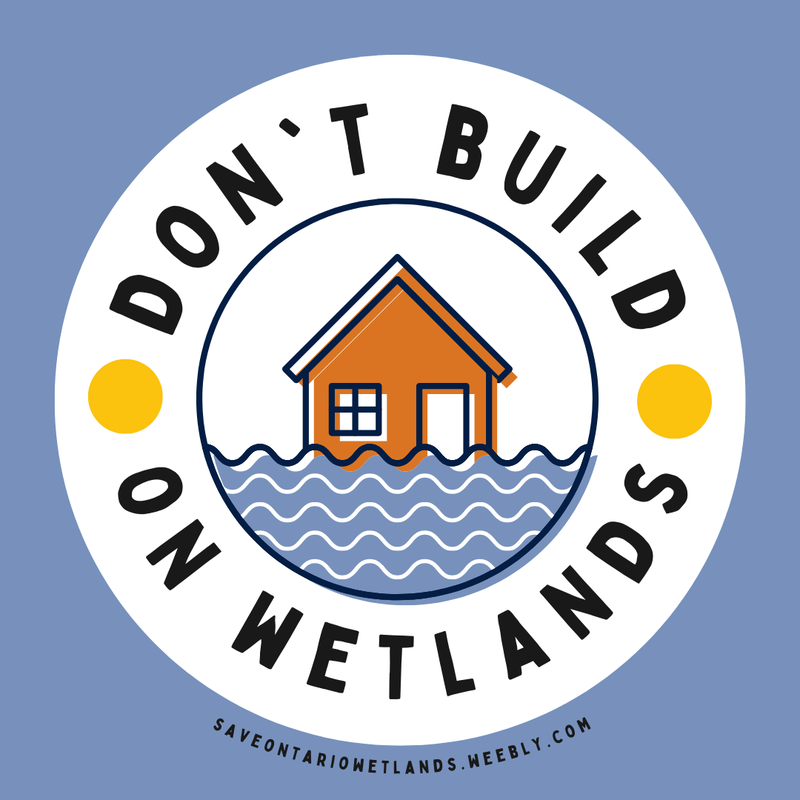 Don't build on wetlands & a flooded home