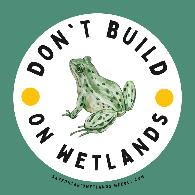 Don't build on wetlands & a frog