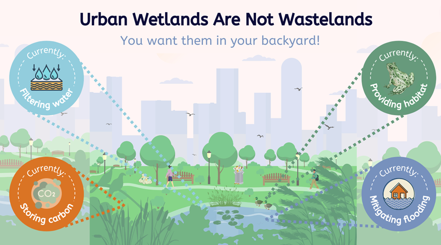 Urban wetlands are note wastelands - they filter water, provide habitat, sorting carbdon, mitigate flooding